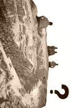 How to get Presentation on Architecture